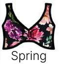 DT003p Spring.png