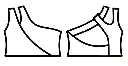 DT005 Tecnico.webp